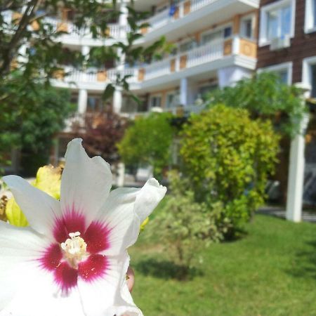 Villa Aria Complex Sunny Beach Buitenkant foto